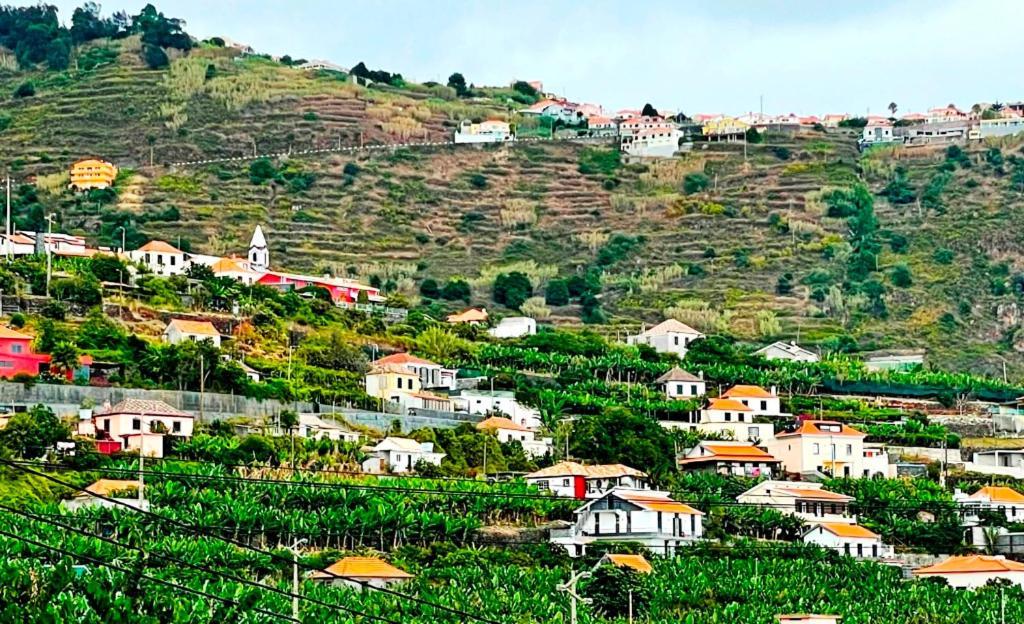 Escola Da Bica * Arco da Calheta (Madeira)
