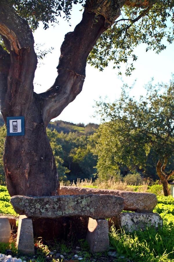 Country house Quinta Da Utopia