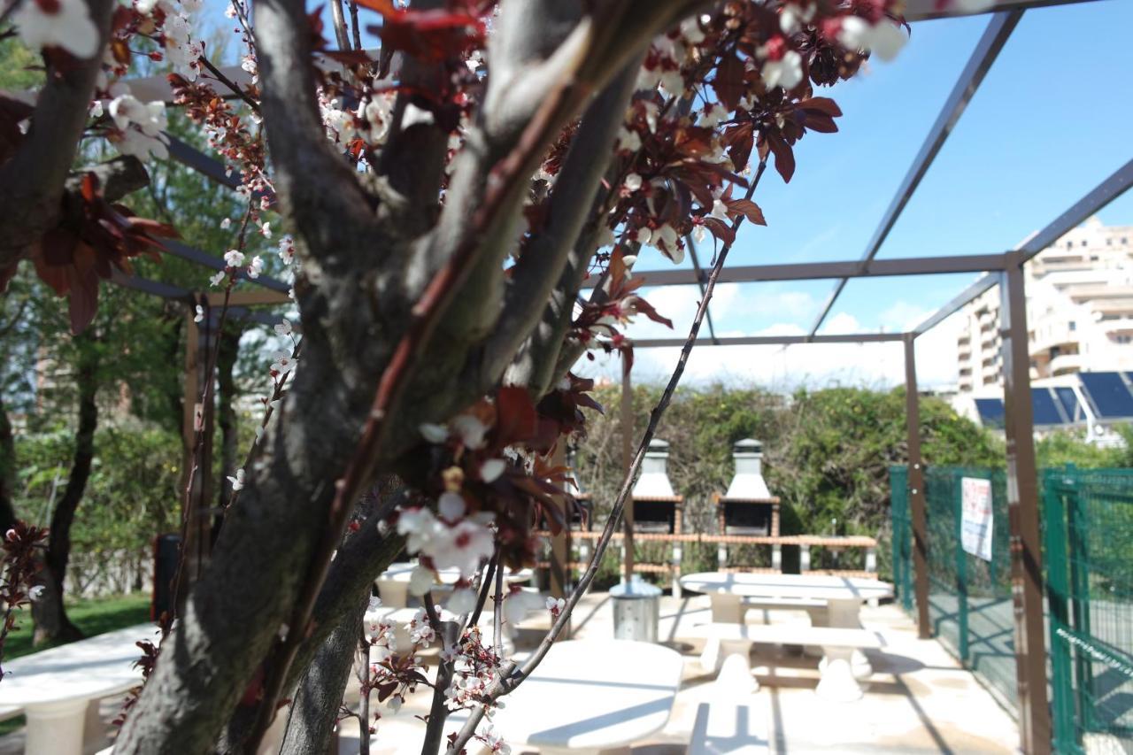 Apartamento A17 - Heaven Sun Da Rocha 1 Bed Portimão