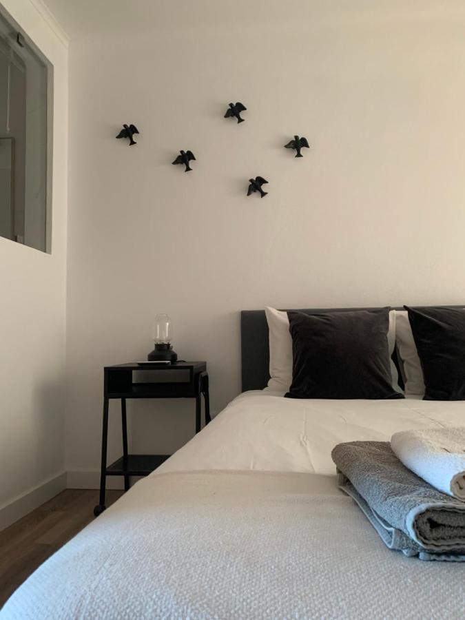 Farm stay Herdade Da Maridona - Estremoz