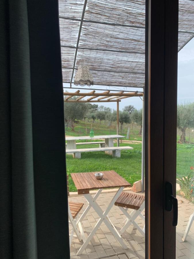 Farm stay Herdade Da Maridona -