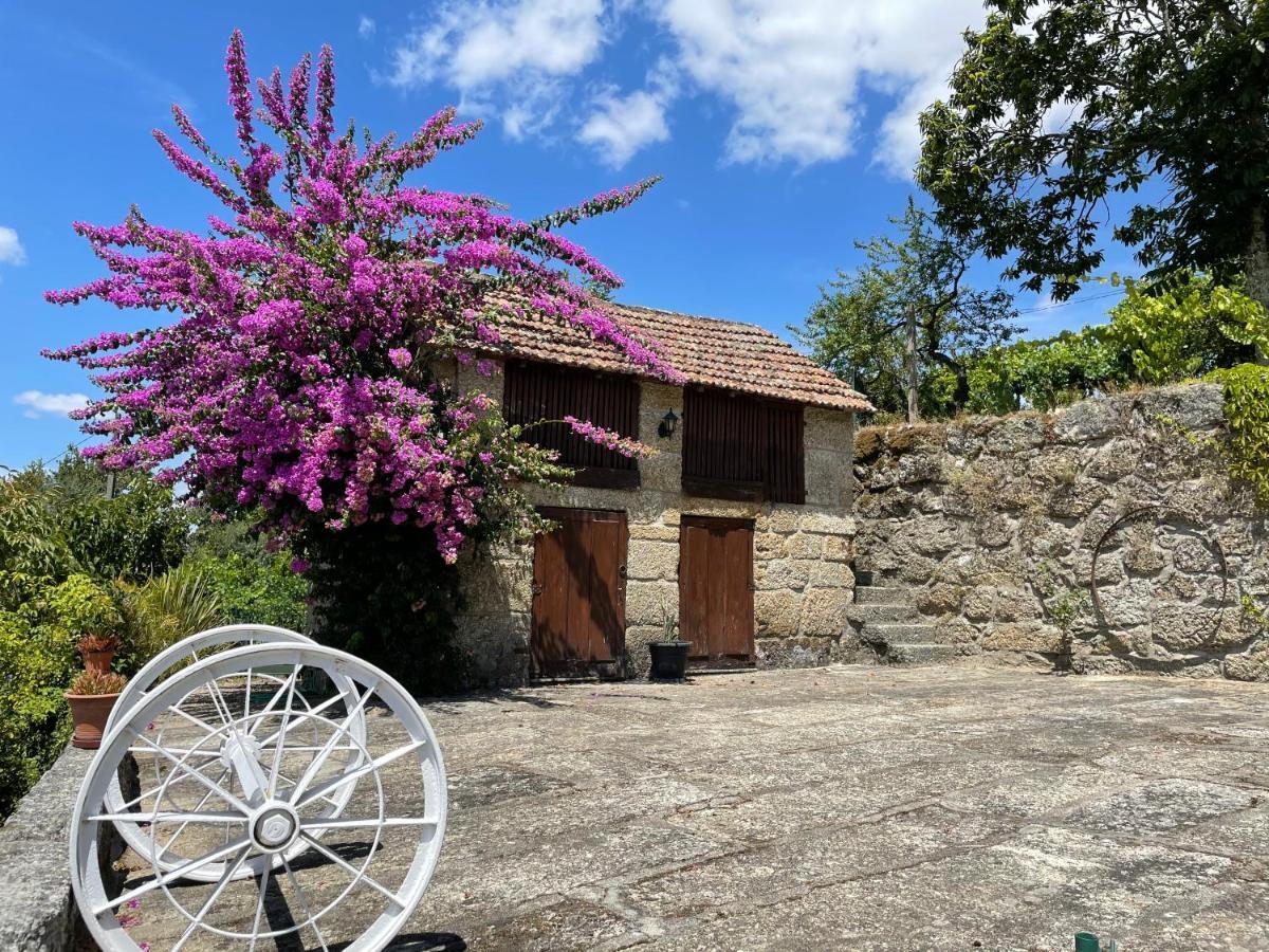 Holiday home Quinta Da Varzea De Cima Marco de Canaveses