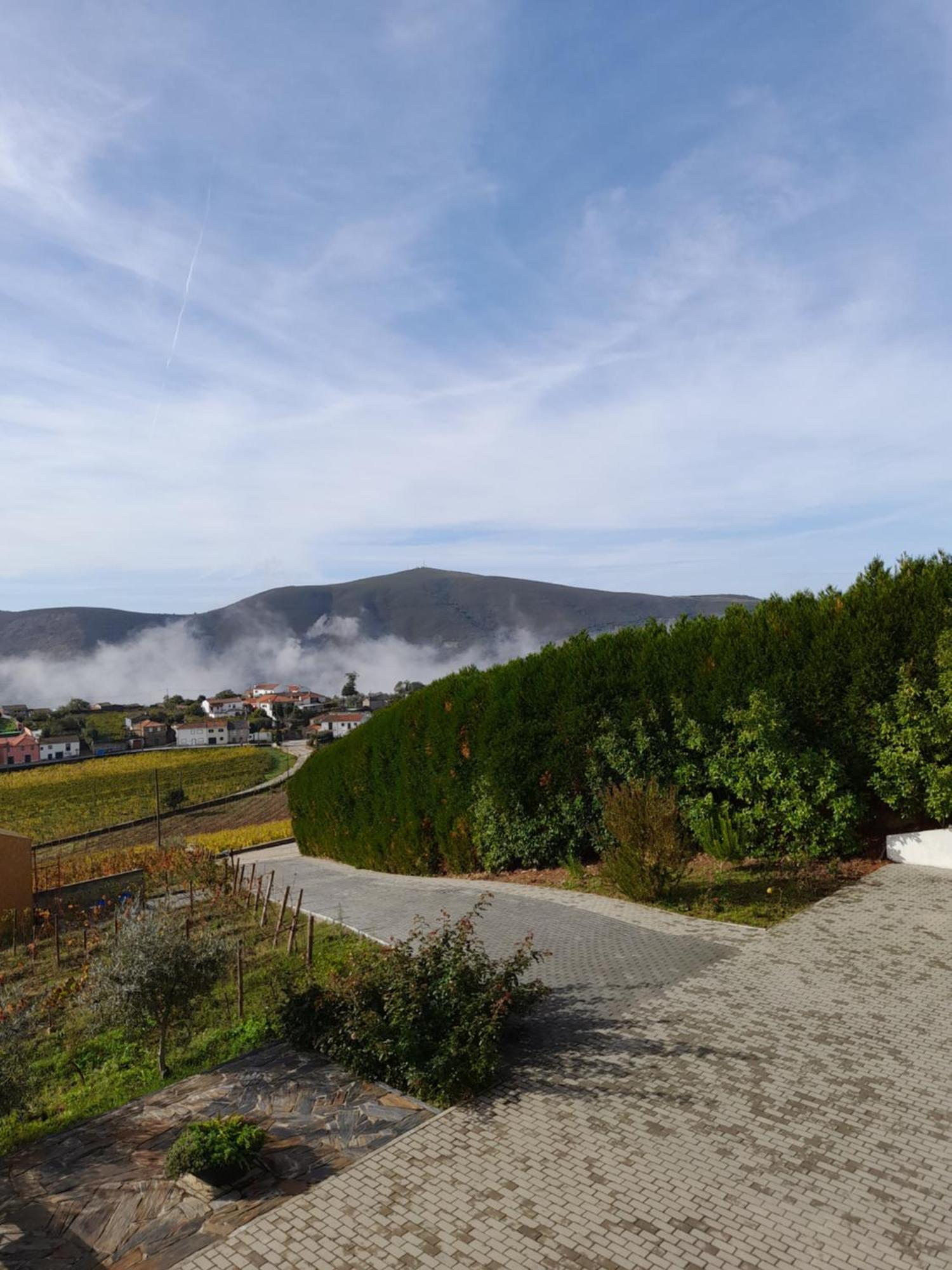 Quinta Manhas Douro