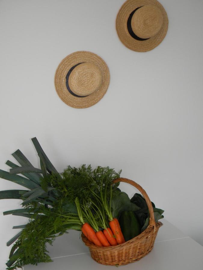 Holiday home Serra Da Pescaria House - Nazare