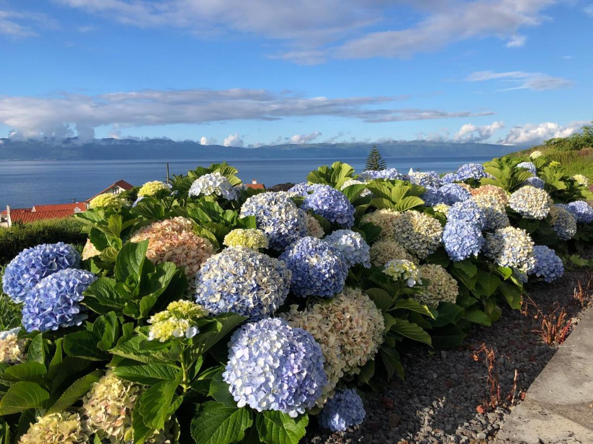 Holiday home Casa Da Arquinha Santo Amaro (Azores)