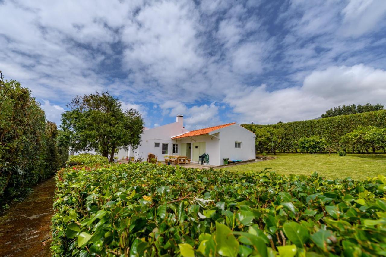 Adega Do Mota Holiday home *