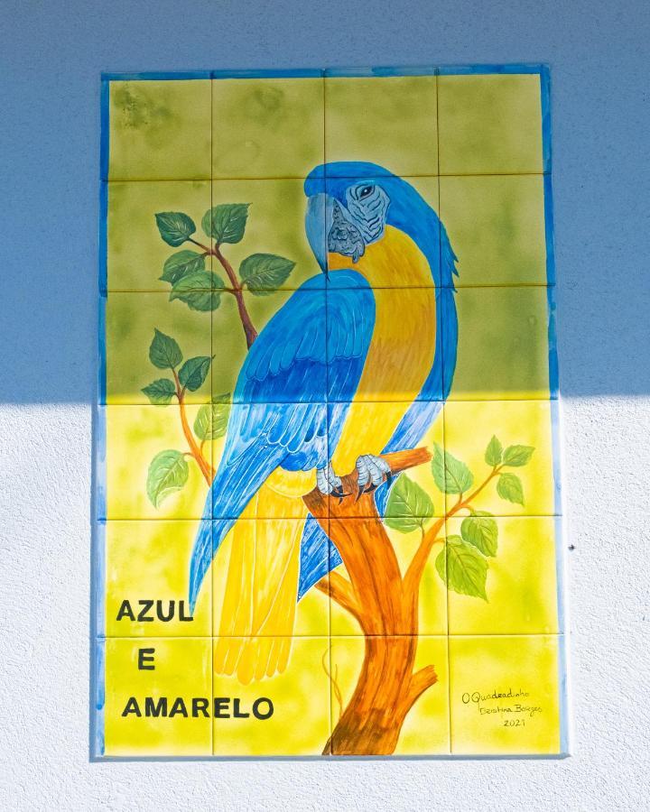 Parrots'village