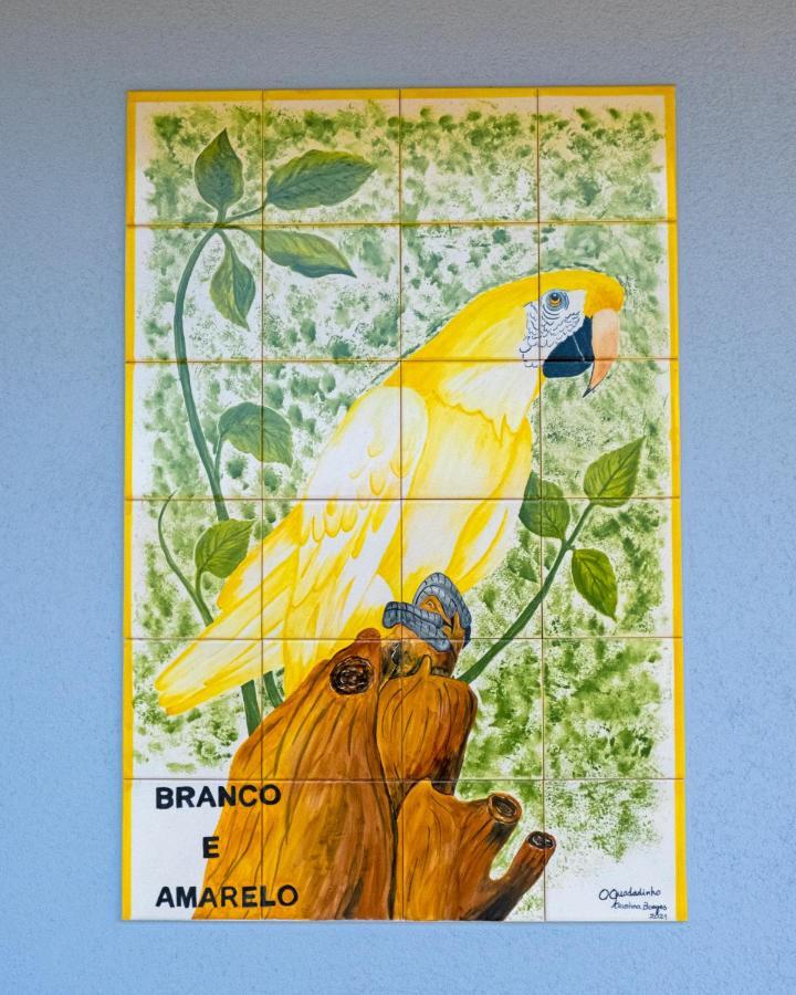 Parrots'village * Rabo de Peixe