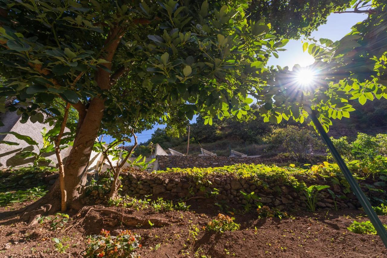 Solar Dos Reis By An Island Hospedagem domiciliar Ribeira Brava