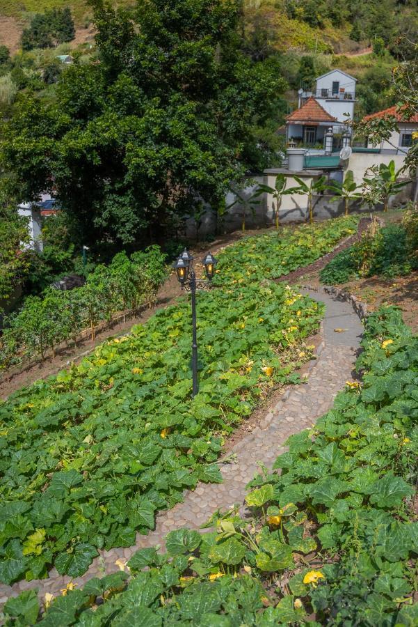 Hospedagem domiciliar Solar Dos Reis By An Island