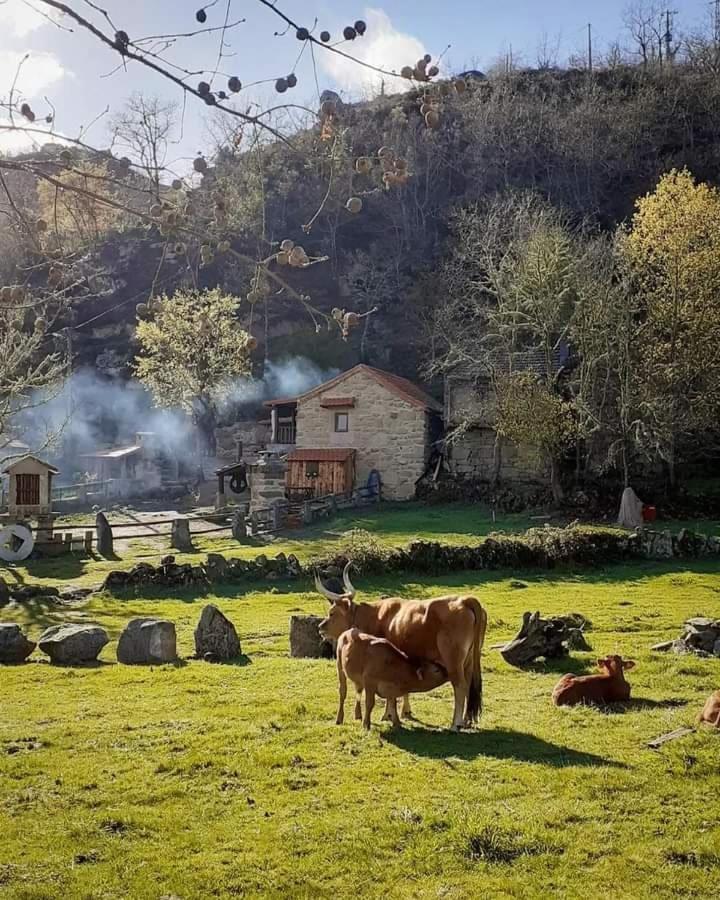 Aldeia De Pontes -