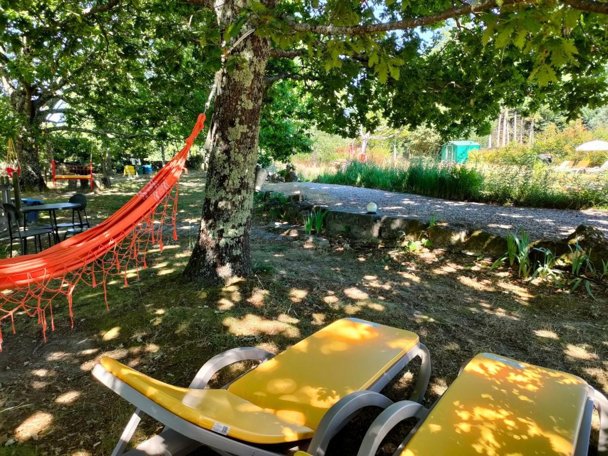 Casa Das Palmeiras Farm stay *
