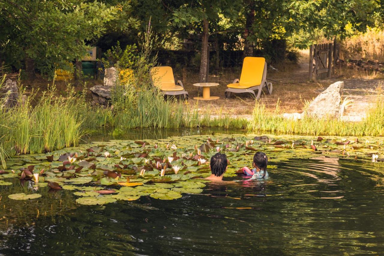 Casa Das Palmeiras Farm stay *
