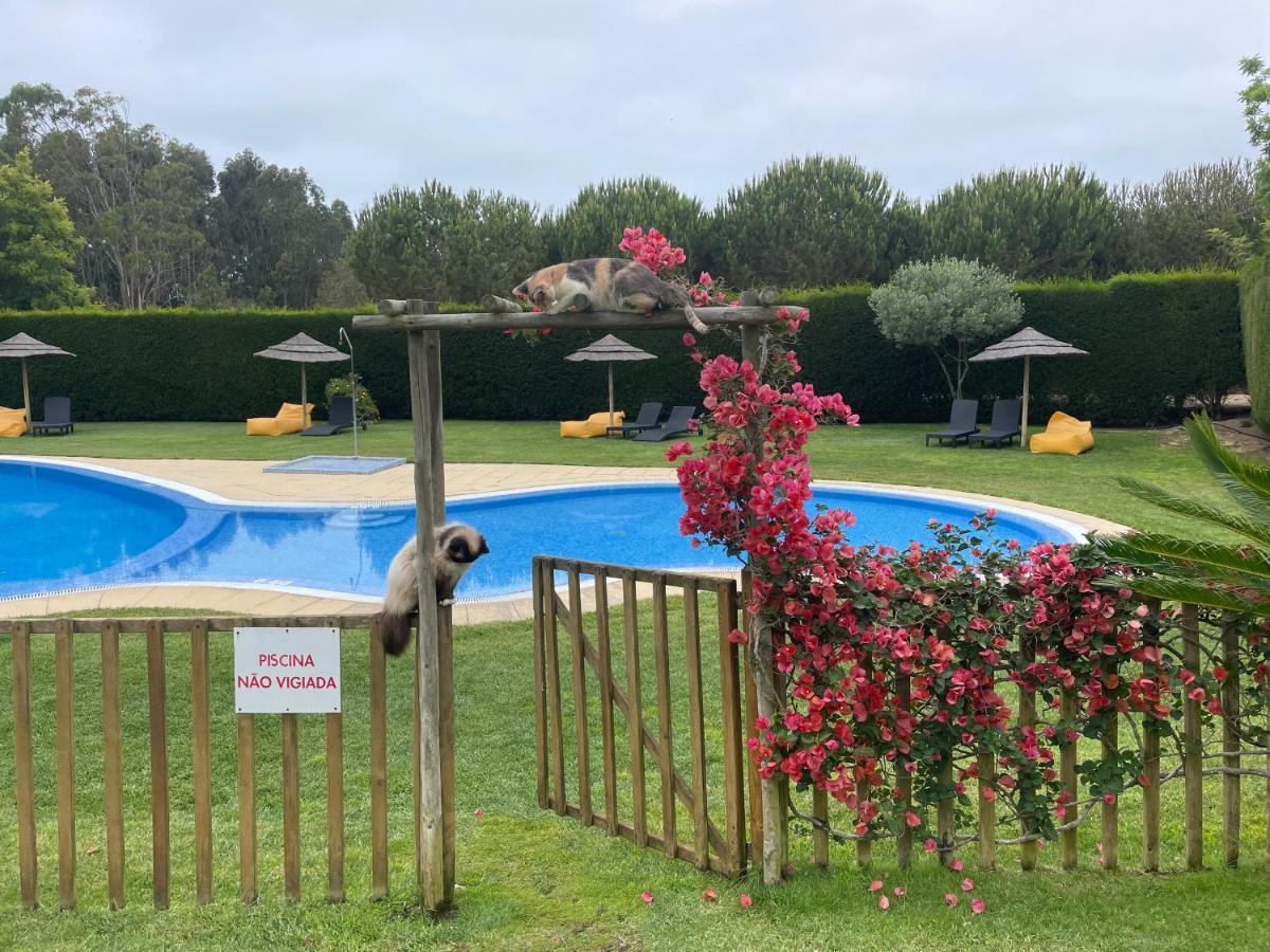 Monte Joao Roupeiro - Farm stay Odeceixe