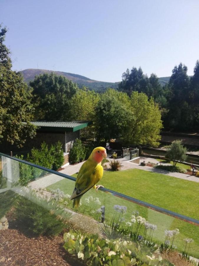Turismo Natureza Rio Villa