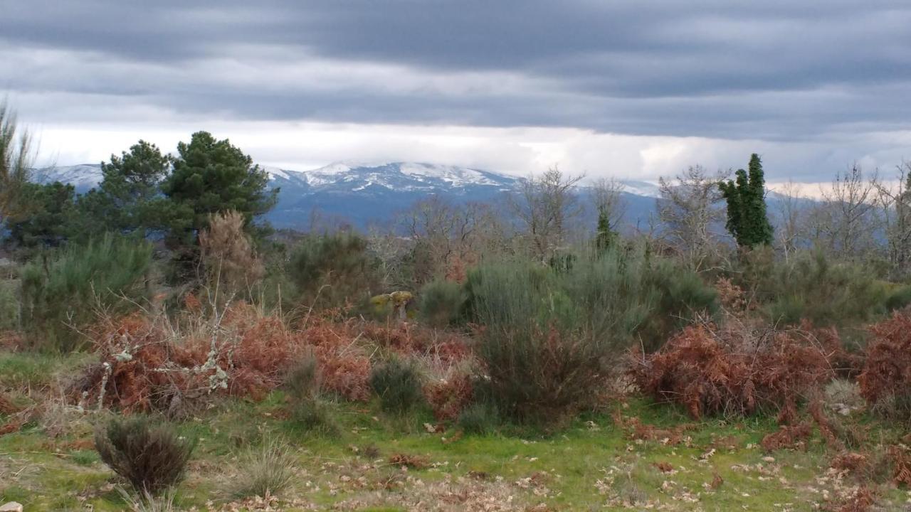 Casas Da Fraga - Serra Da Estrela Holiday home