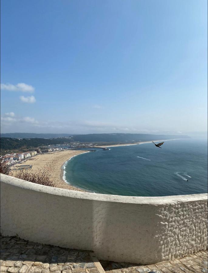 Ddm - O Paraiso Do Sitio Da Nazaré