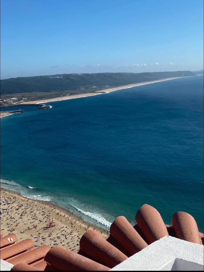 Ddm - O Paraiso Do Sitio Da *