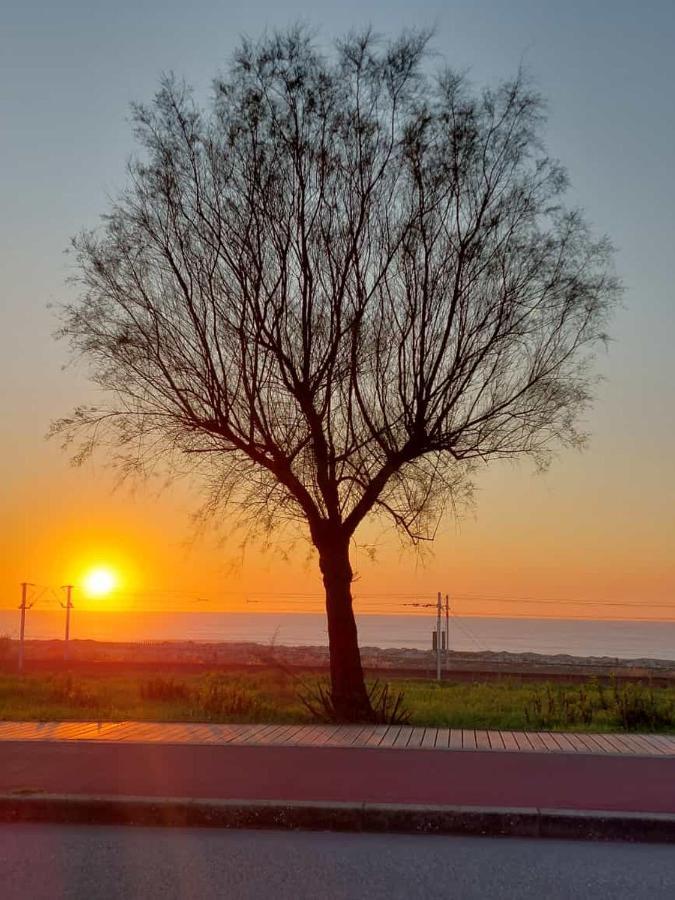 Monte Lirio Espinho (Aveiro)