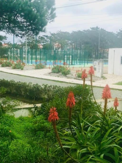 Casinha Do Mar Apartment Marinha Grande