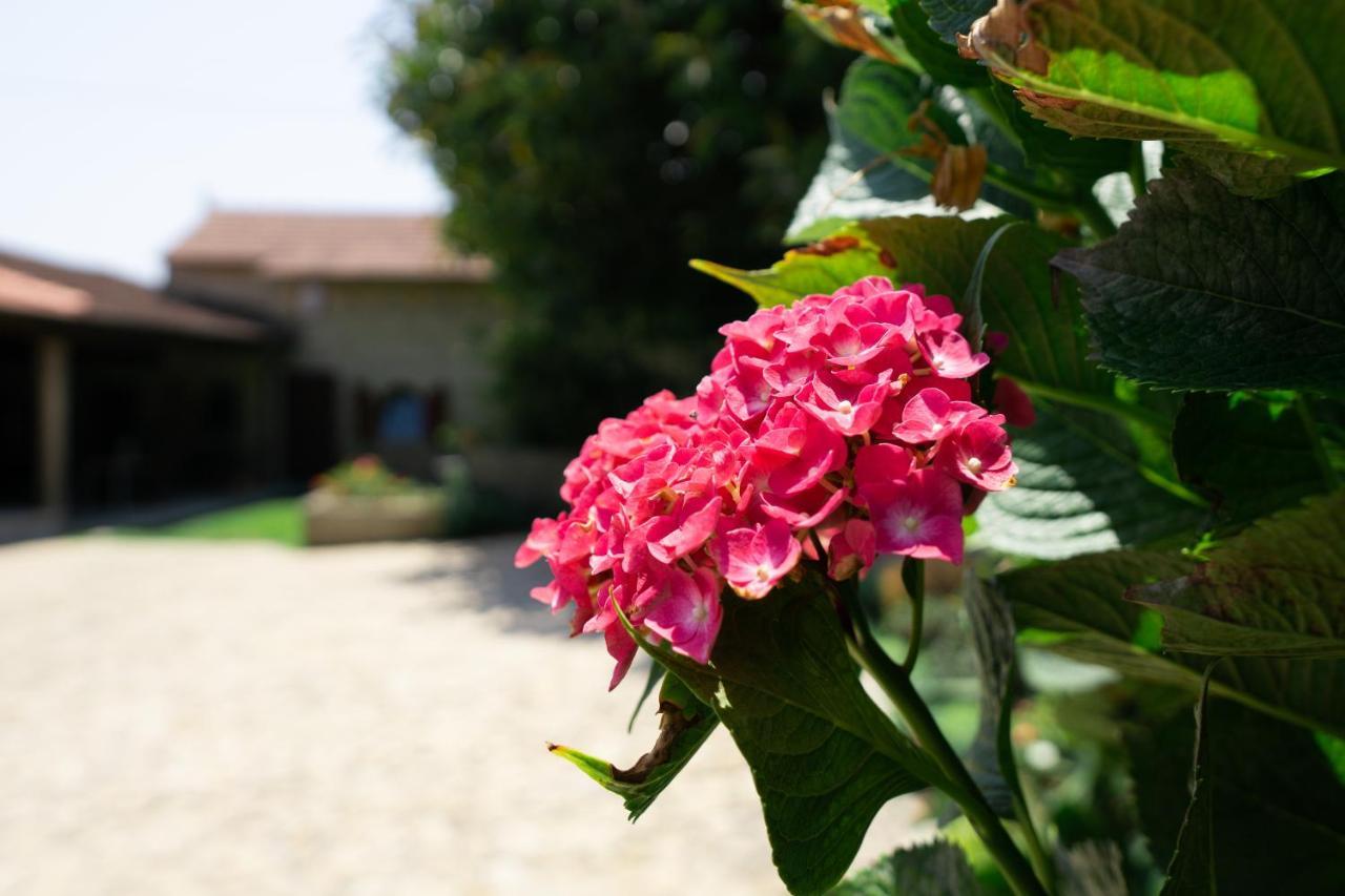 Casa Mindela Guest house Giao (Porto)