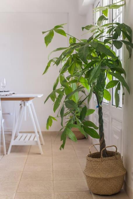 Lisbon Waves Surf Acomodação com café da manhã  *