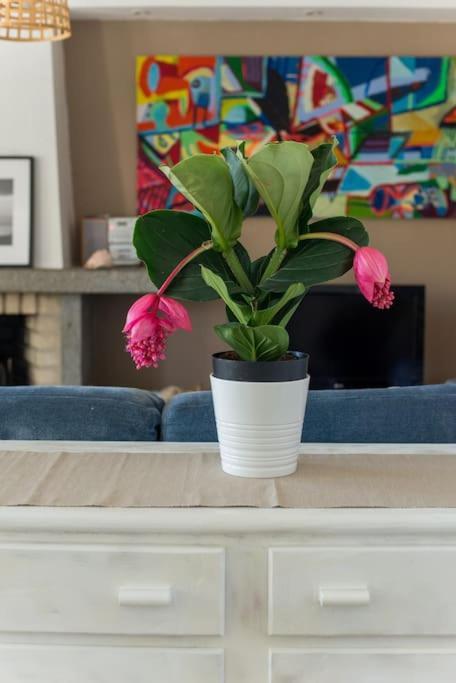 Bed & Breakfast Lisbon Waves Surf Almada