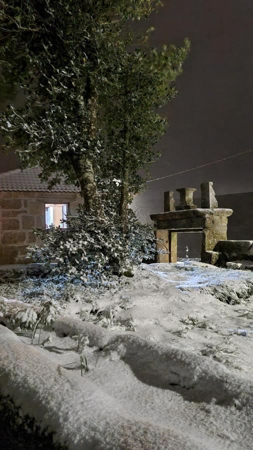 Casa Da Relva Inspirada Em Harry Potter