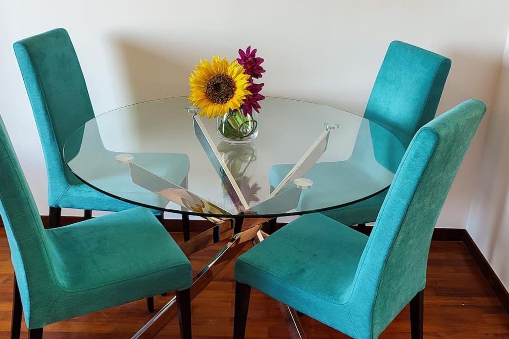 Appartement Jardim Sol