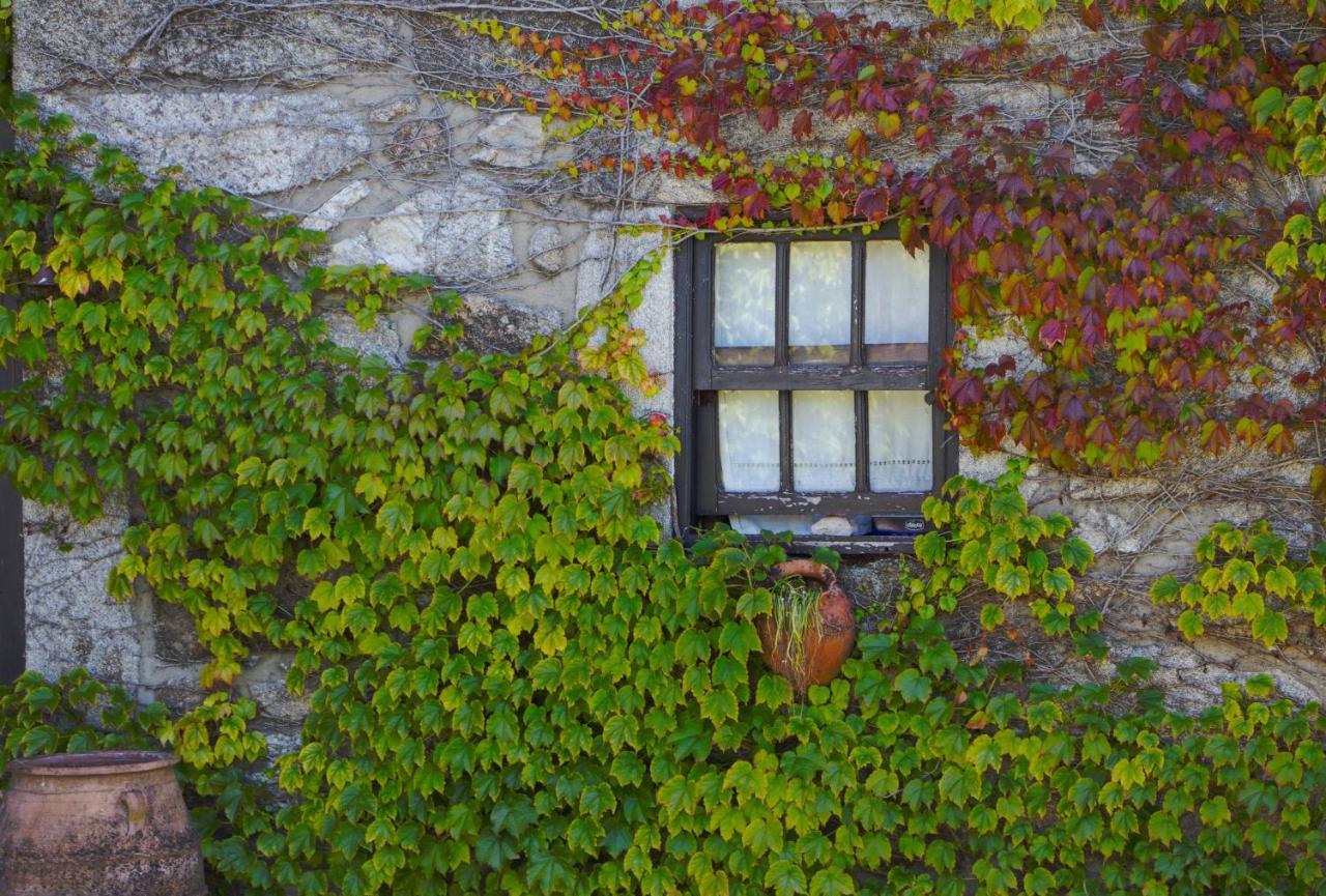 Casa Da Reina * Viana do Castelo