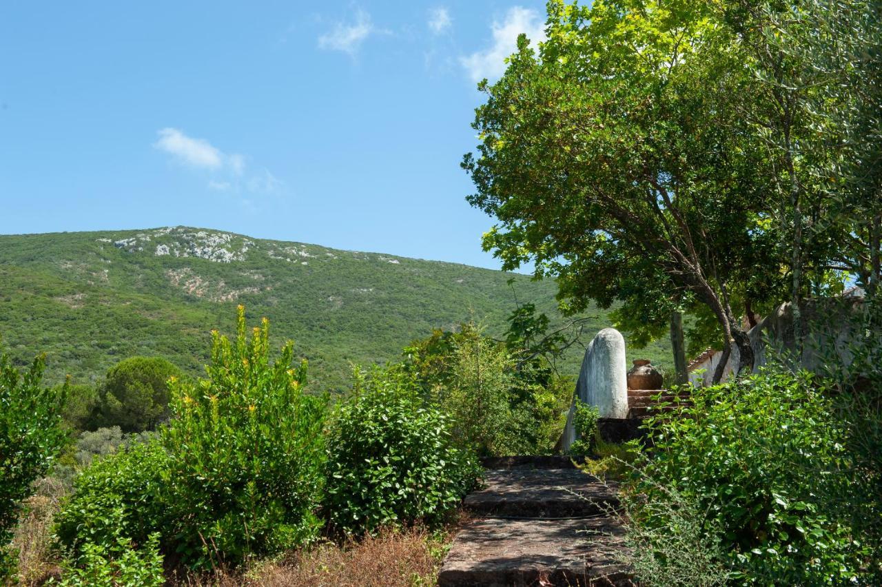 Quinta Da Arrabida * Sesimbra