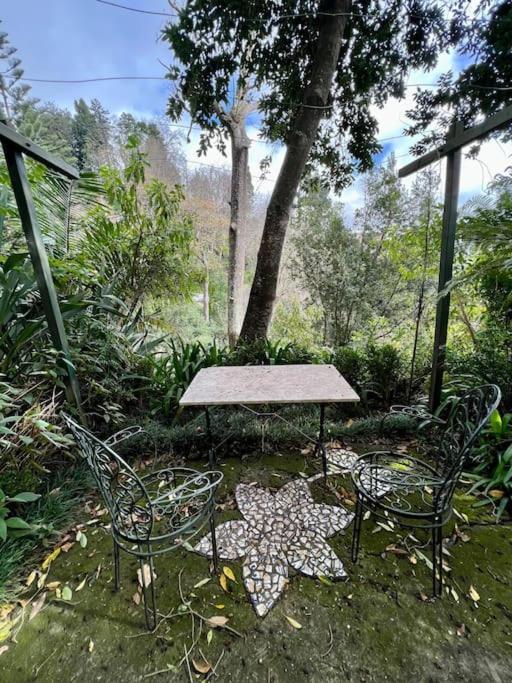 Villa Quinta Belmonte With Private Heated Pool In