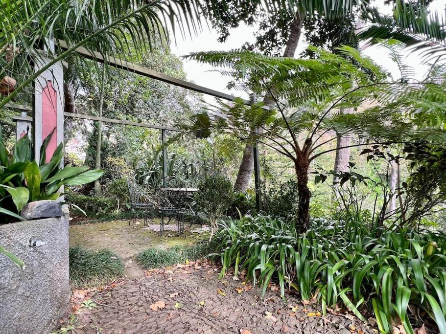 Quinta Belmonte With Private Heated Pool In Funchal (Madeira)
