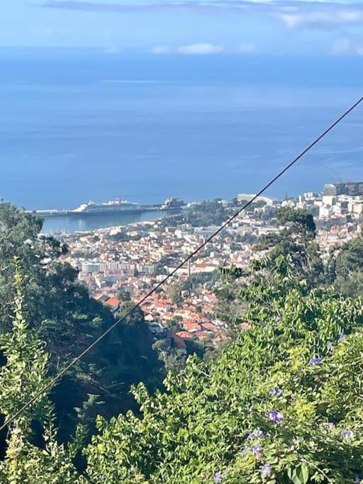 Quinta Belmonte With Private Heated Pool In Funchal (Madeira)