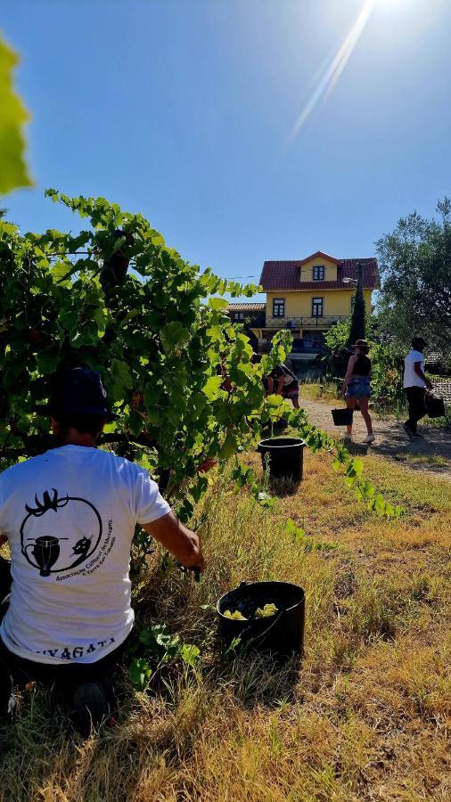 Farm stay Quinta Do Chao D'ordem Vila Nova de Foz Coa