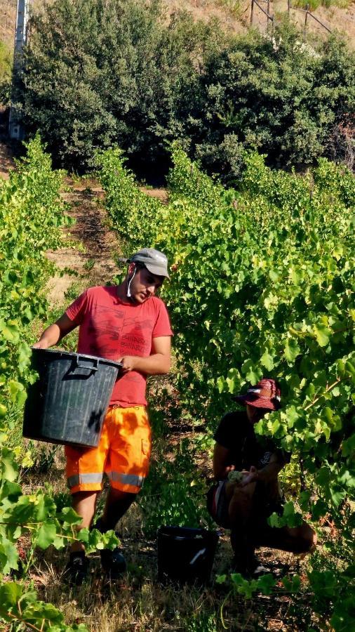 Quinta Do Chao D'ordem Farm stay Vila Nova de Foz Coa