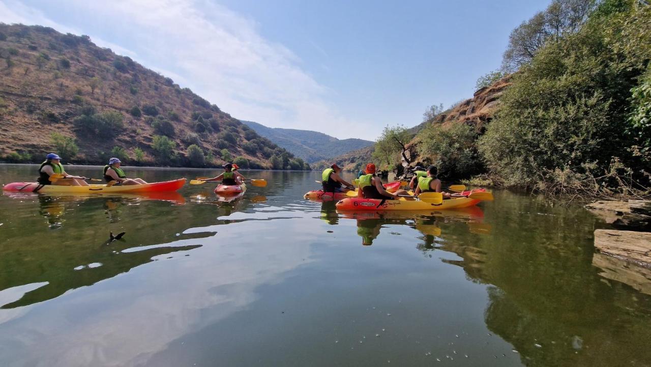 Quinta Do Chao D'ordem Farm stay *