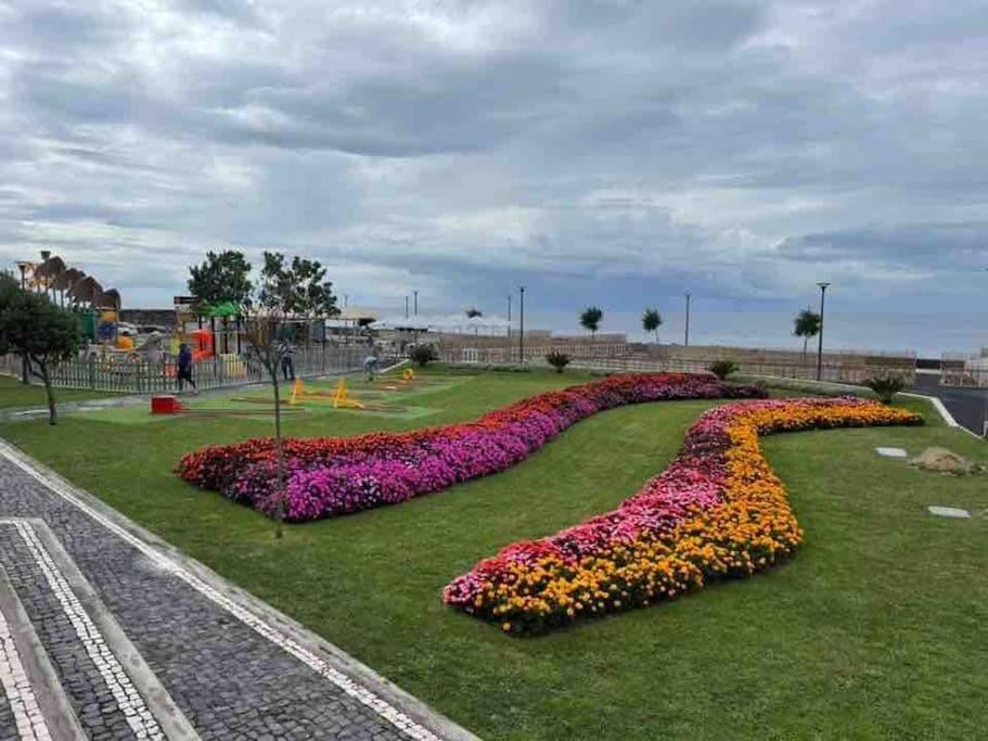 Holiday home The Spot - Ilha De Sao Miguel