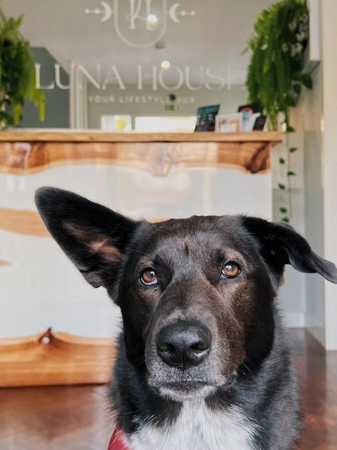 Luna House & Cowork Bed & Breakfast Cascais