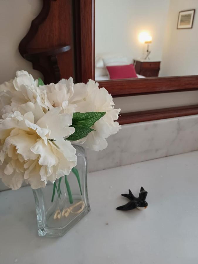 Apartamento Vista Premium Sto António