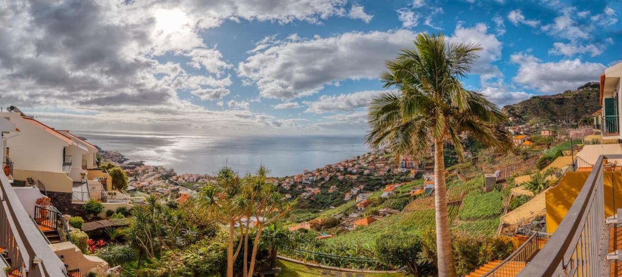 Palm Tree House By Amazing Madeira Pousada *