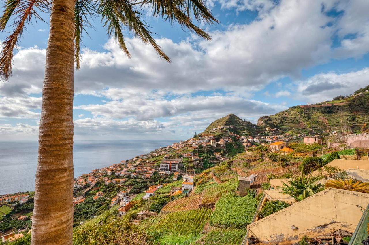 Palm Tree House By Amazing Madeira Pousada