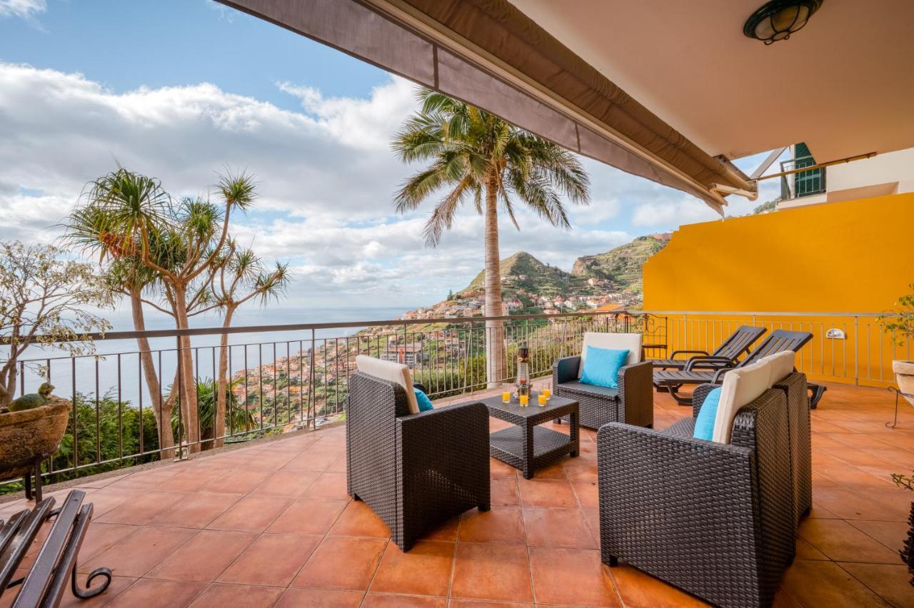 Palm Tree House By Amazing Madeira Pousada