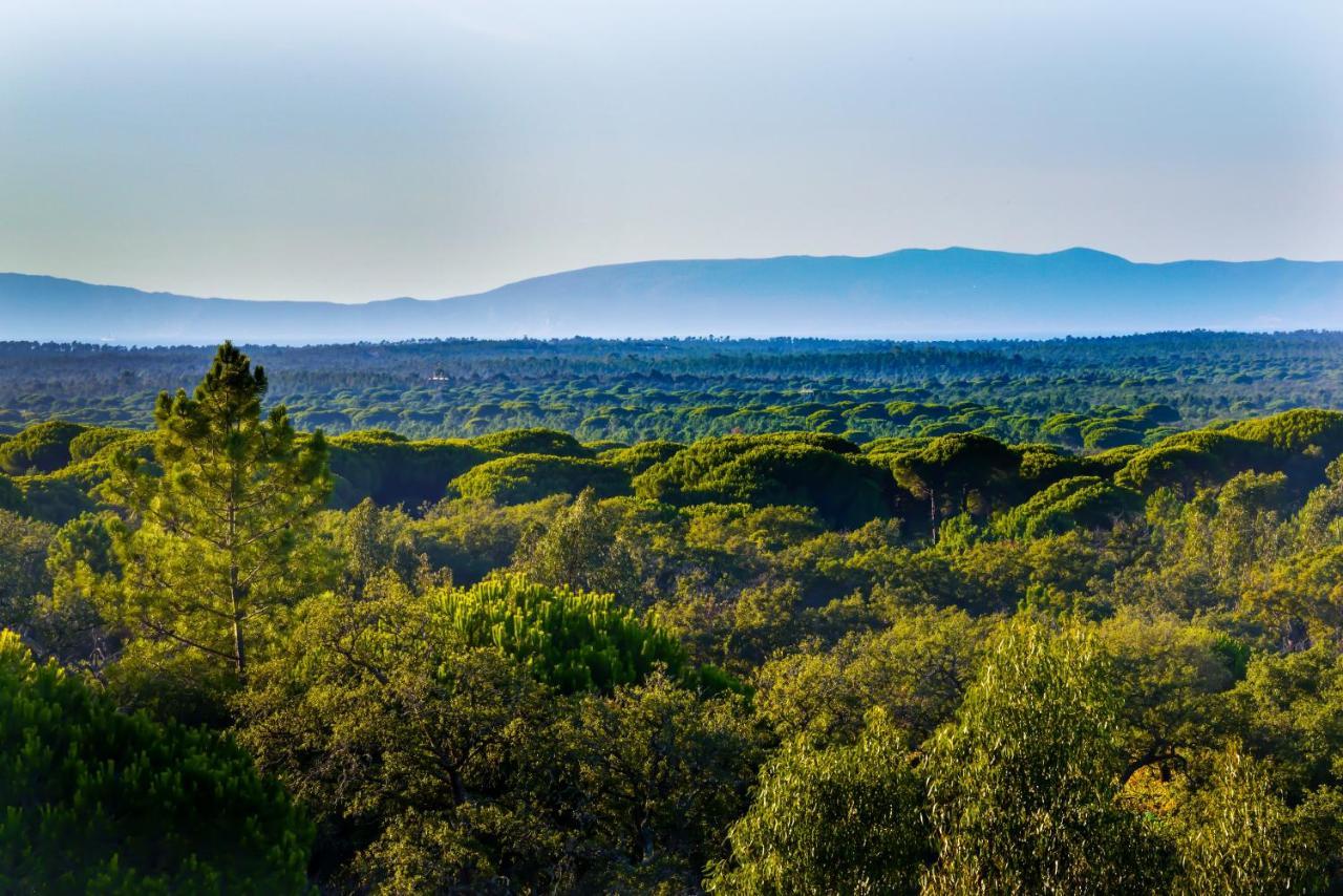 Farm stay A Serenada Enoturismo *