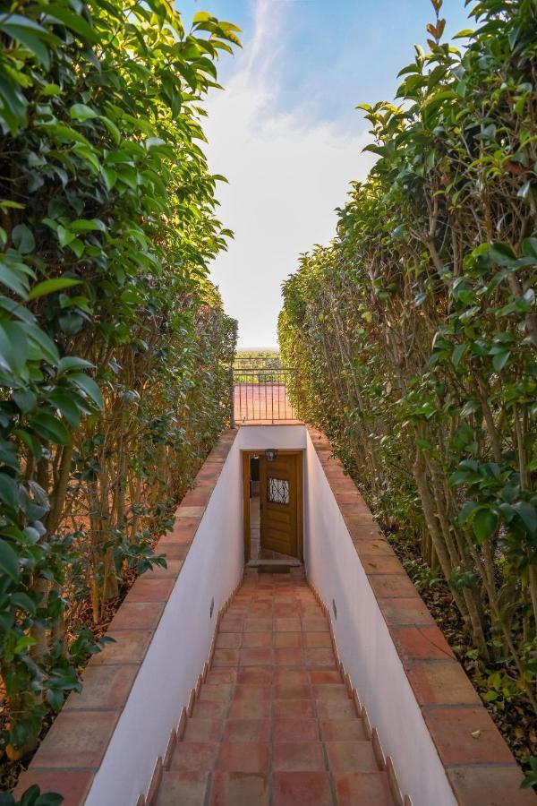 Farm stay A Serenada Enoturismo *