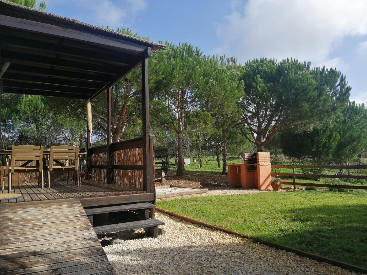 Farm stay De Crianca Sao Teotonio