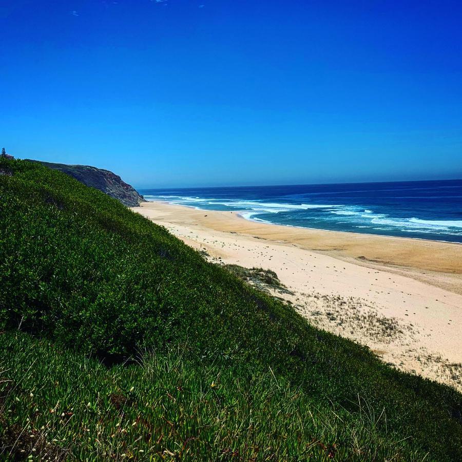 Pines Of Salgado Beachview By Book Yourholiday Pt Nazare