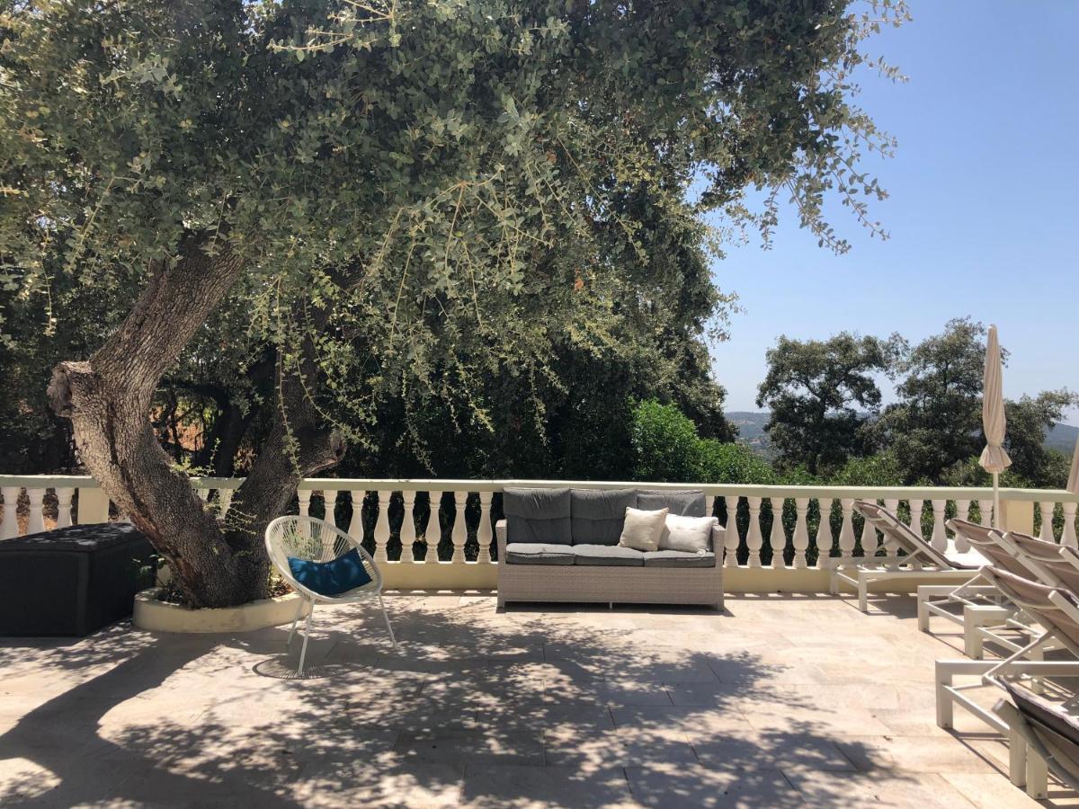 Panoramic Paradise