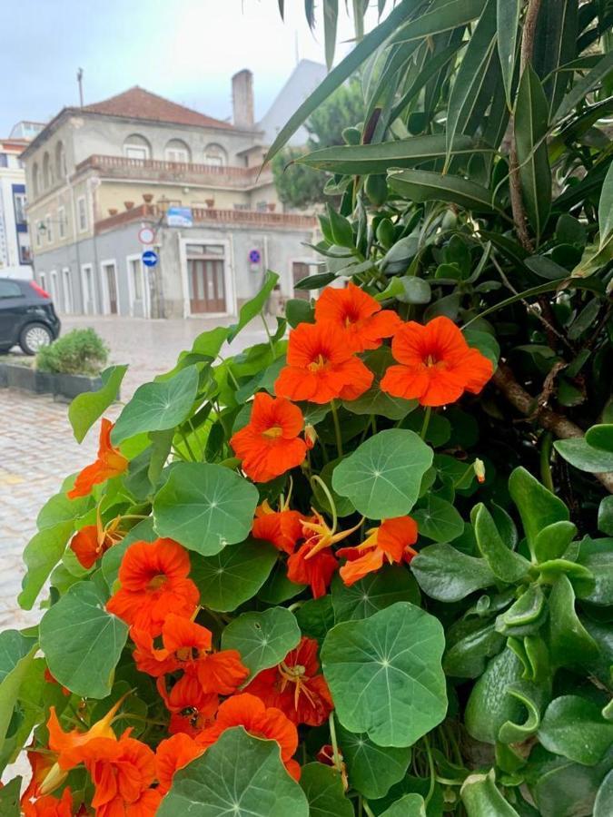 505 * São Martinho do Porto