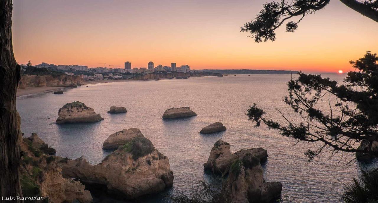 Torre Da Rocha Frente Ao Mar Apartment Portimao